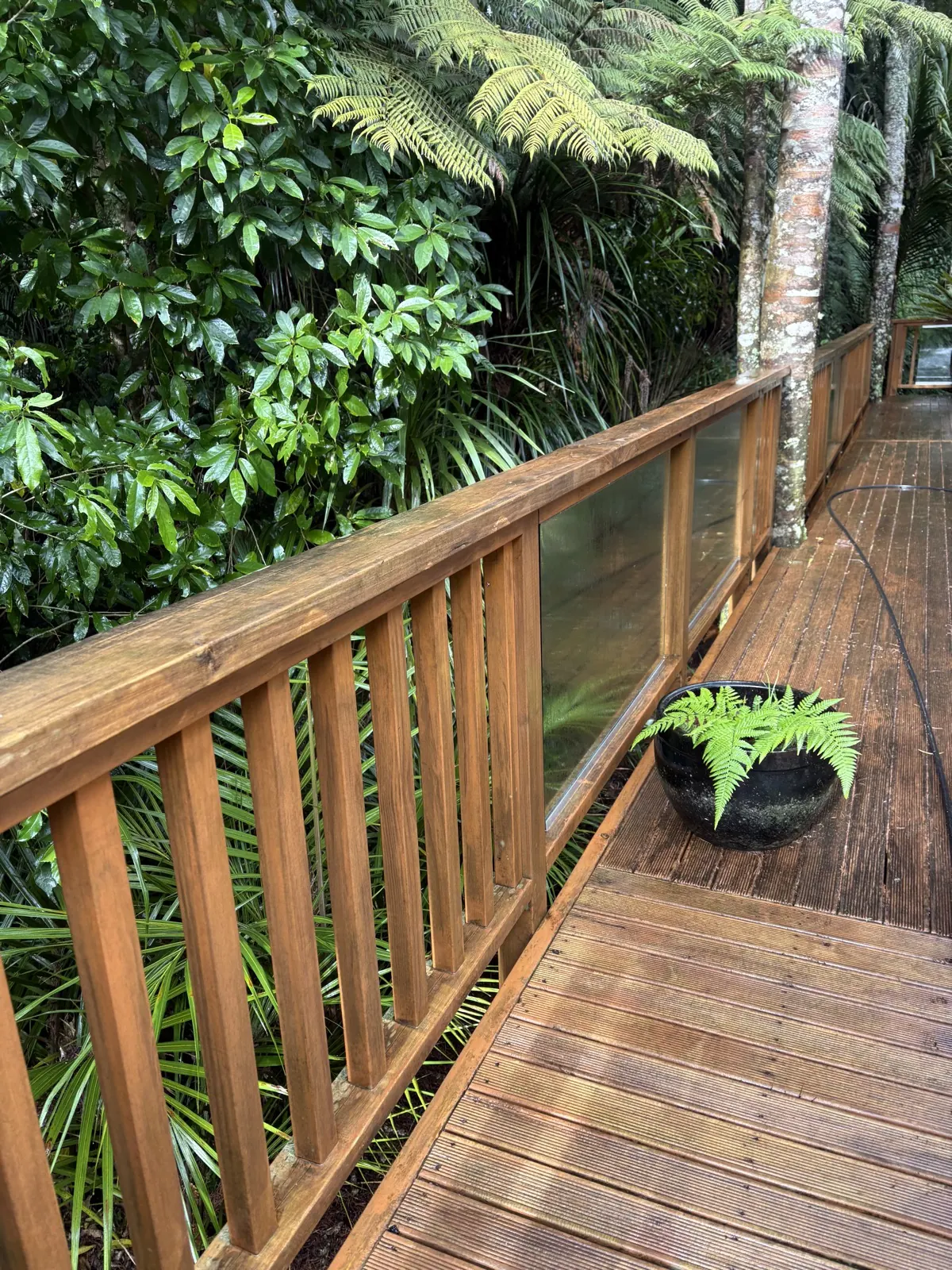 Cleaned timber deck balustrade and glass balustrade panel beside native bush