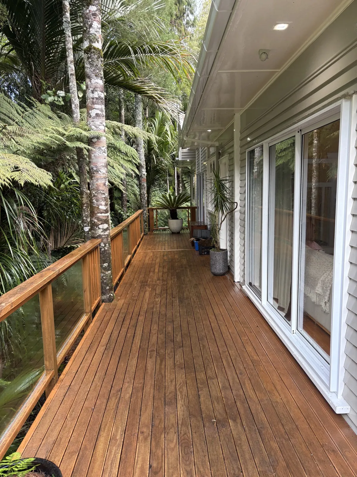 Freshly cleaned timber deck running along a bush-backed West Auckland home